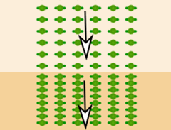 refraction marching straight ahead